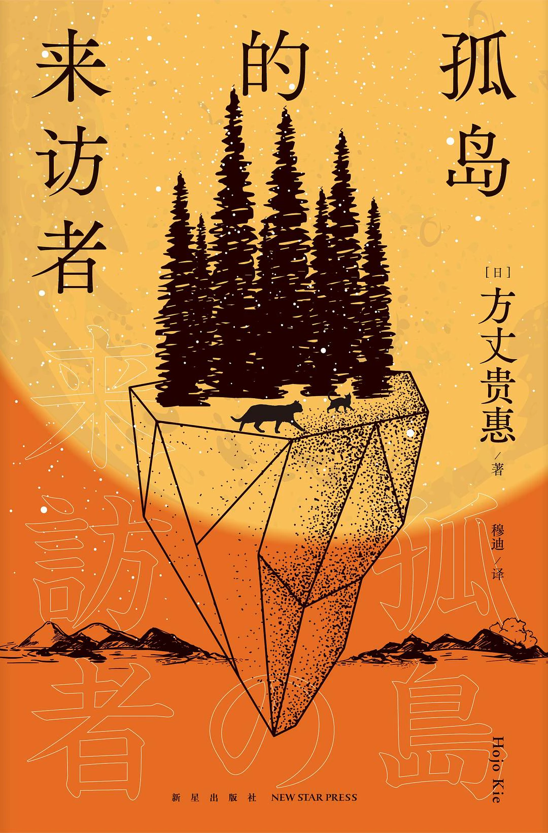 孤岛的来访者 封面