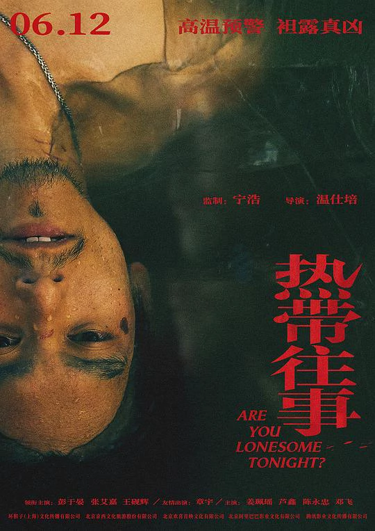 热带往事 封面