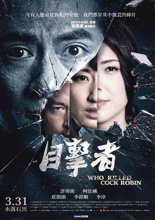 目击者之追凶 封面