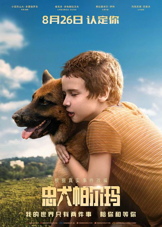 忠犬帕尔玛 封面