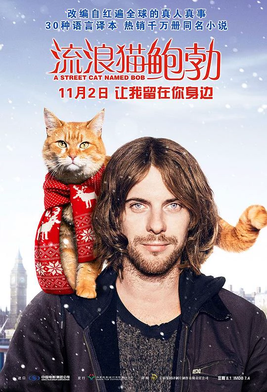 流浪猫鲍勃 封面