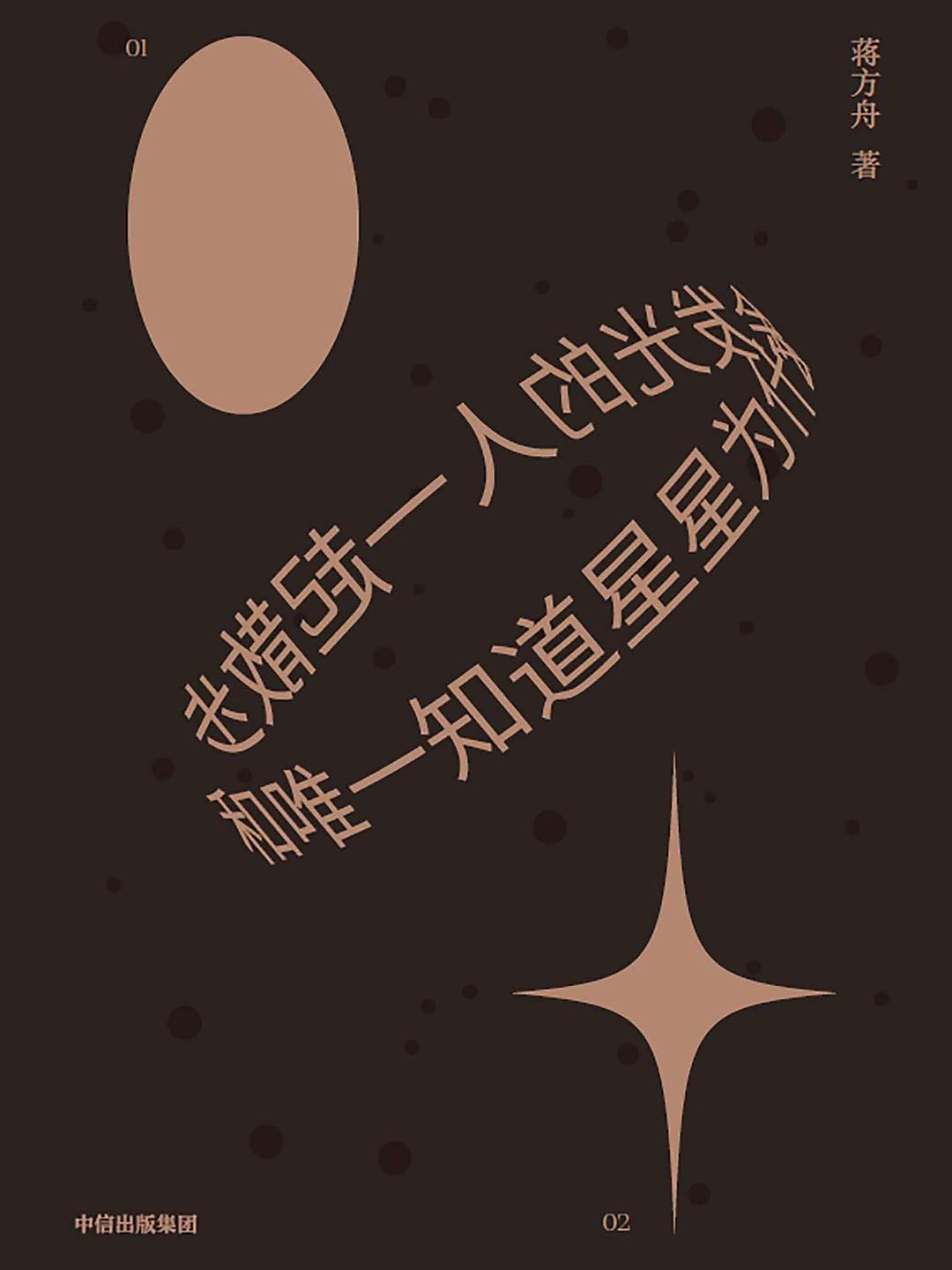 和唯一知道星星为什么会发光的人一起散步 封面