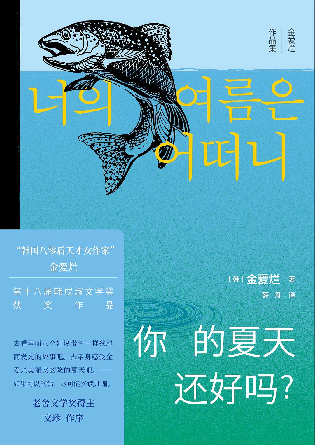 你的夏天还好吗？ 封面