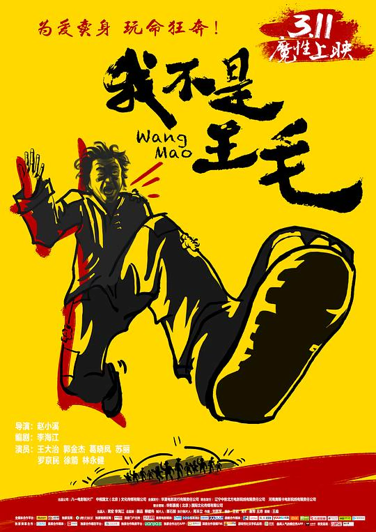 我不是王毛 封面